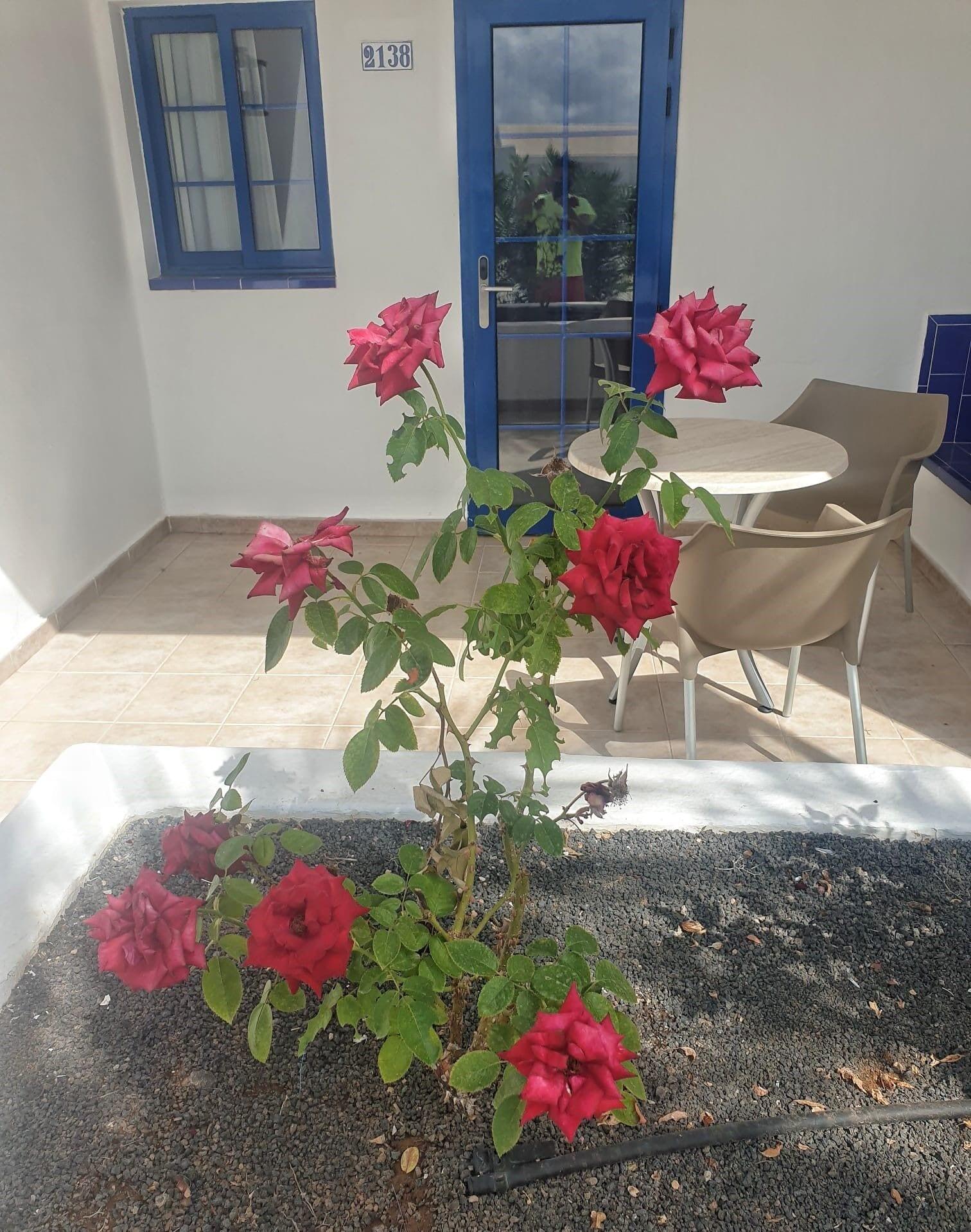 Grupotel Cinco Plazas Puerto del Carmen  Eksteriør billede